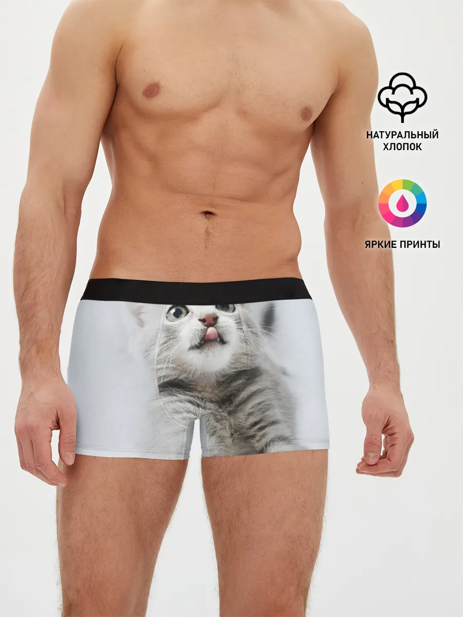 Мужские трусы боксеры / серый котенок