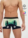 Мужские трусы боксеры / Тоторо охраняет лес