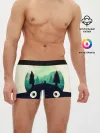 Мужские трусы боксеры / Тоторо охраняет лес