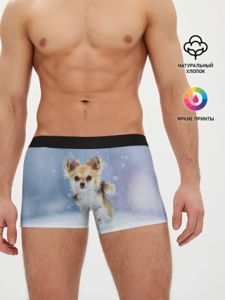 Мужские трусы боксеры / Чихуахуа в снегу