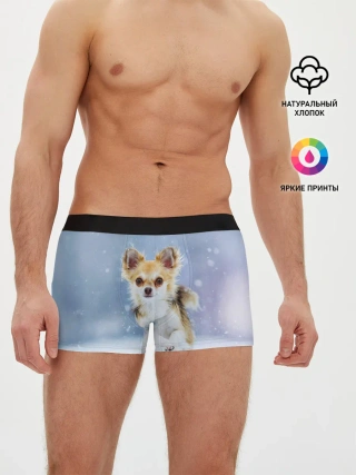Мужские трусы боксеры / Чихуахуа в снегу