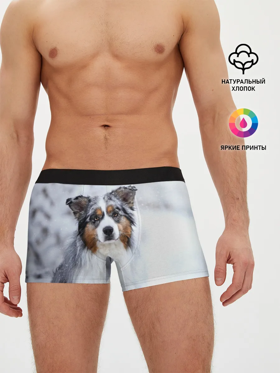 Мужские трусы боксеры / Австралийская овчарка