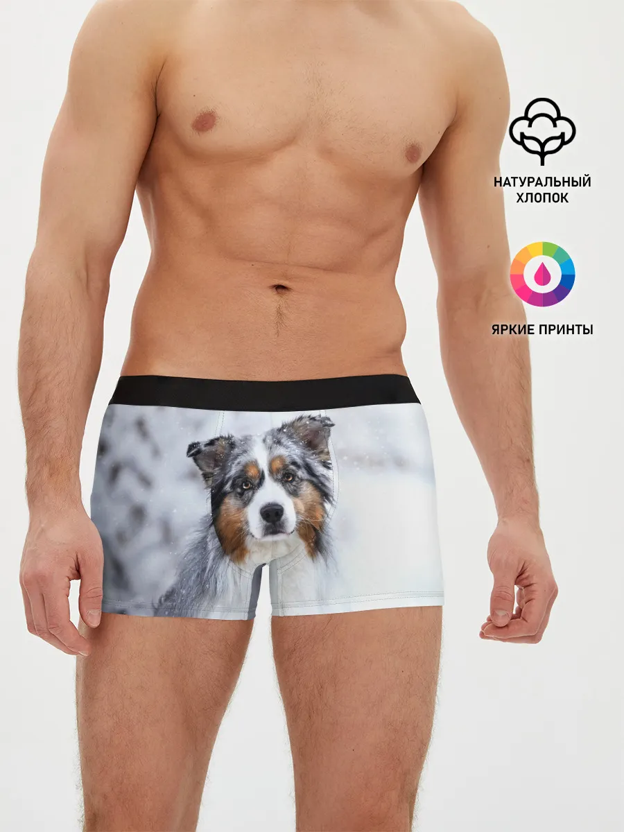 Мужские трусы боксеры / Австралийская овчарка