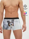 Мужские трусы боксеры / Австралийская овчарка