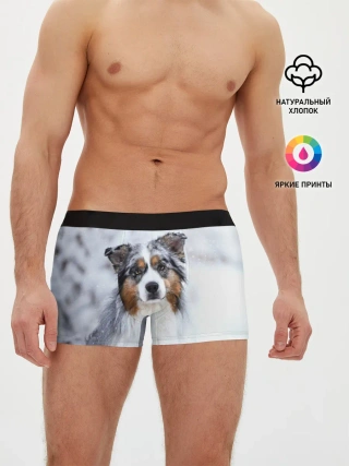 Мужские трусы боксеры / Австралийская овчарка