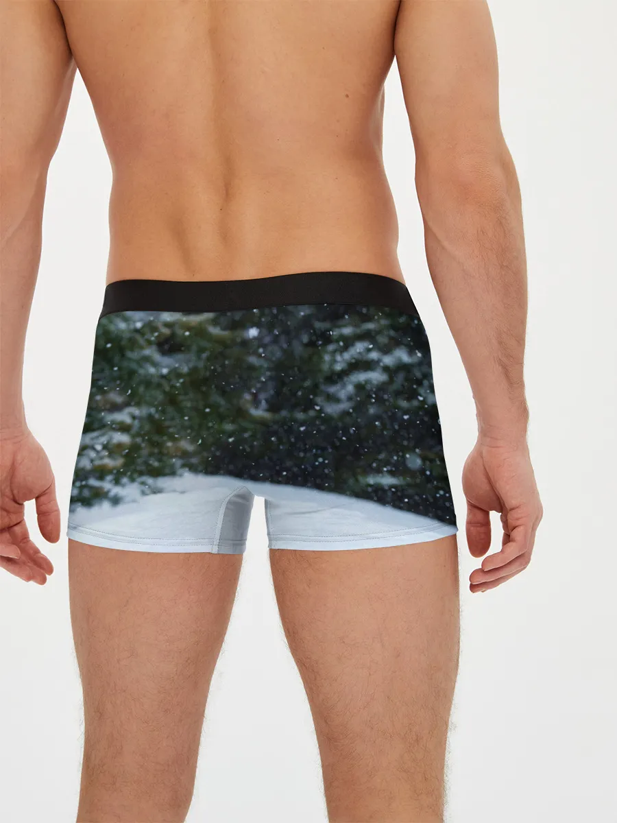 Мужские трусы боксеры / Лиса в зимнем лесу