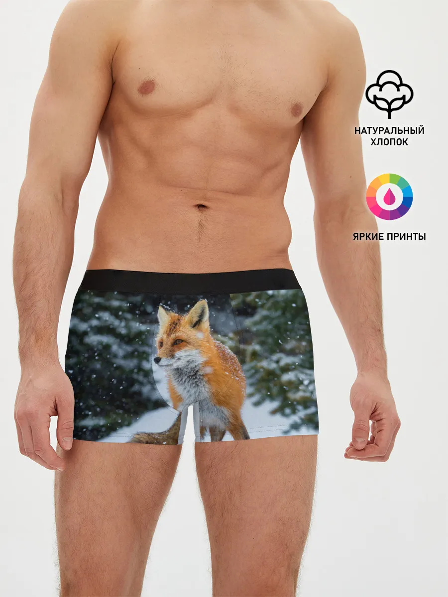 Мужские трусы боксеры / Лиса в зимнем лесу