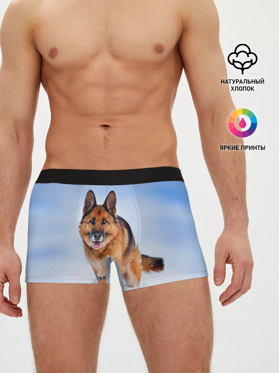 Мужские трусы боксеры / Овчарка и снег