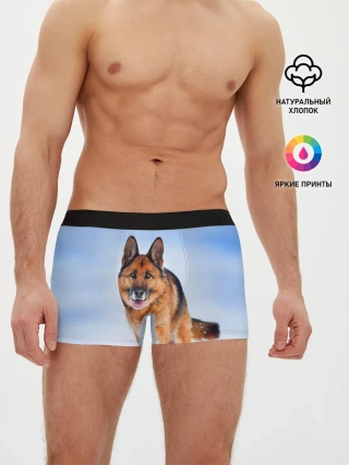 Мужские трусы боксеры / Овчарка и снег