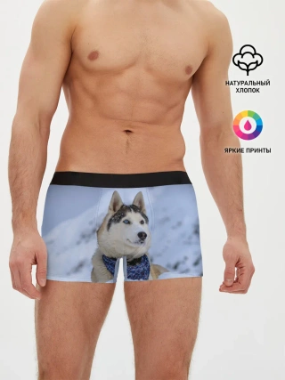 Мужские трусы боксеры / Хаски