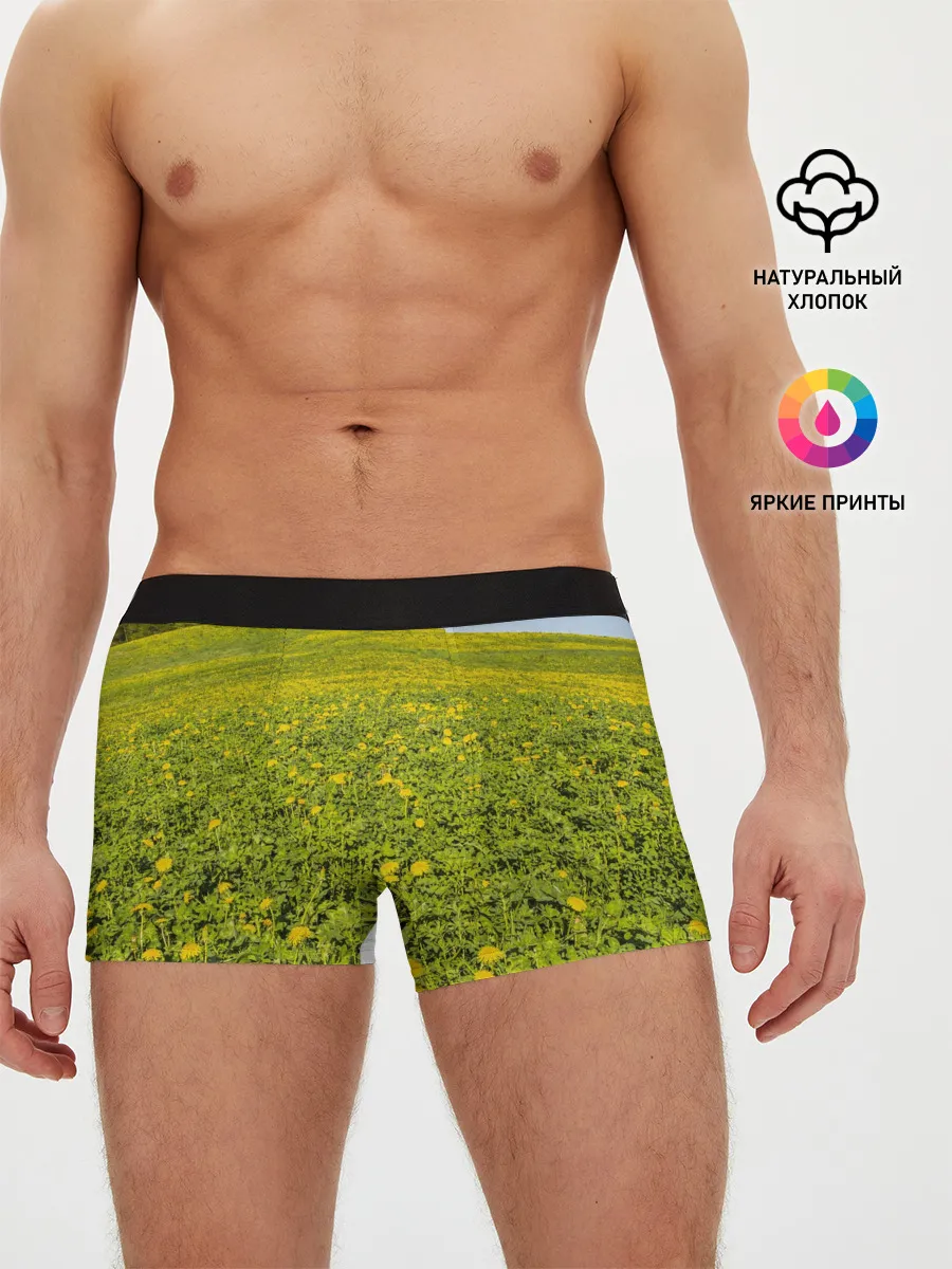 Мужские трусы боксеры / Поле одуванчиков