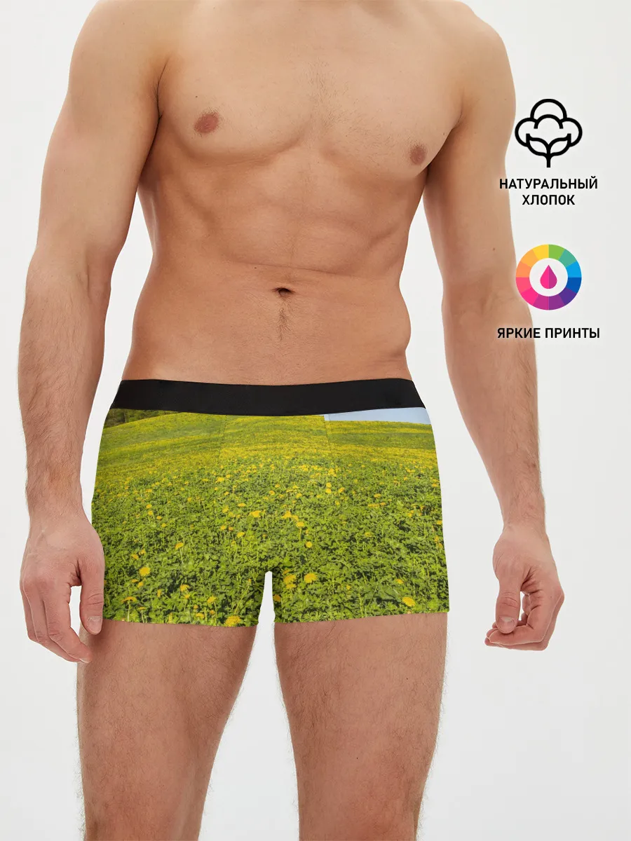 Мужские трусы боксеры / Поле одуванчиков