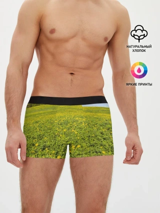 Мужские трусы боксеры / Поле одуванчиков