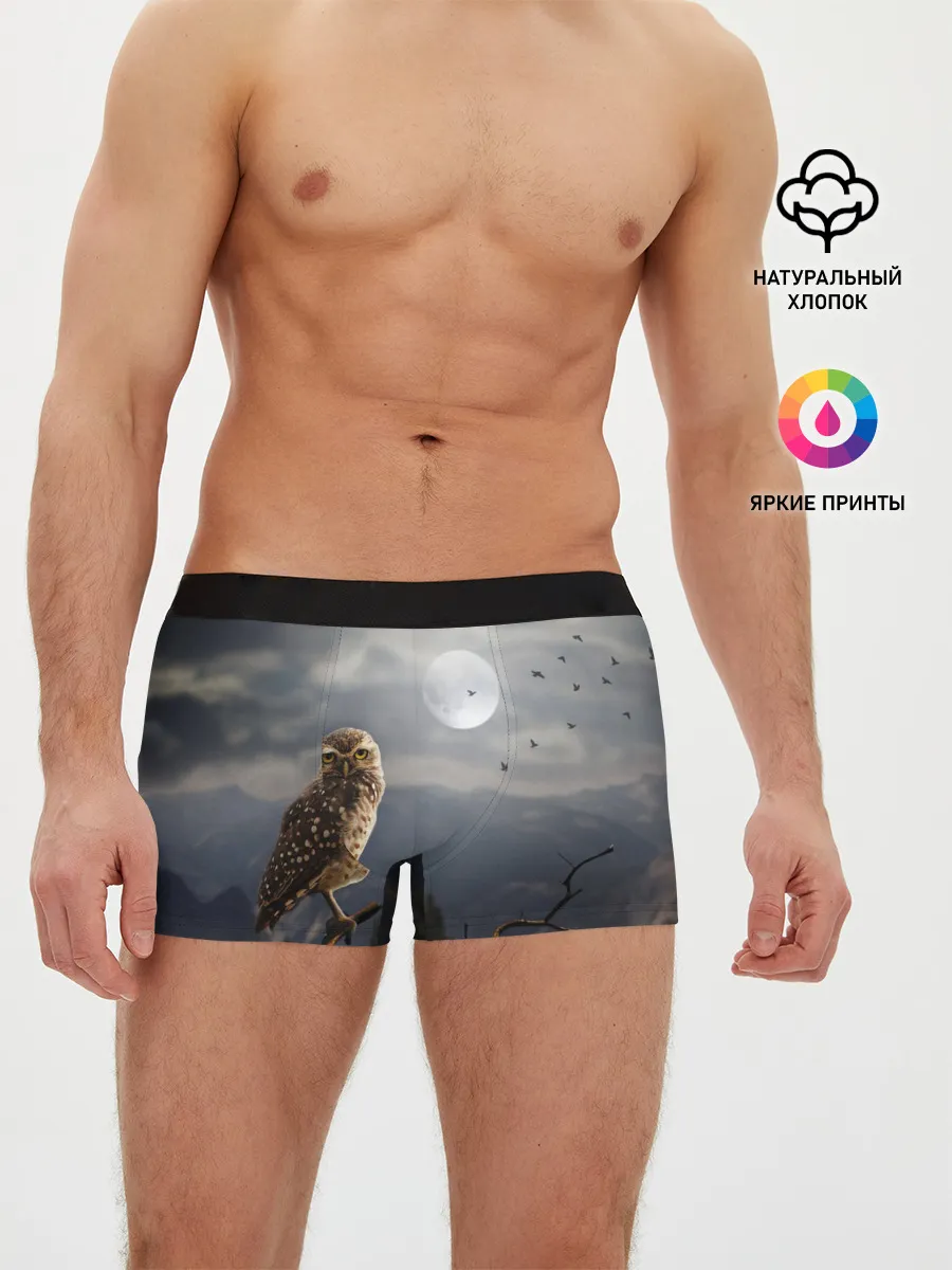 Мужские трусы боксеры / Сова