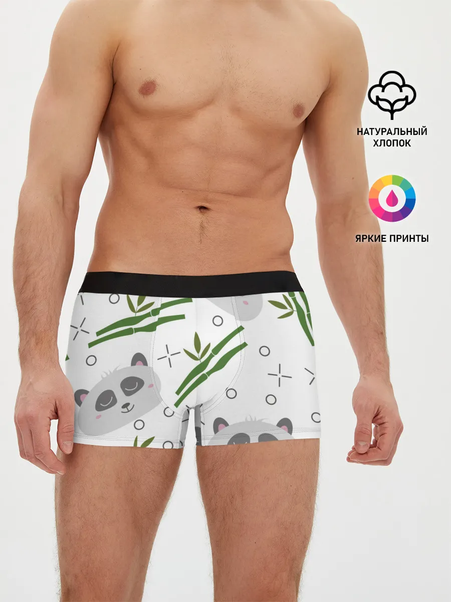 Мужские трусы боксеры / Панда с бамбуком