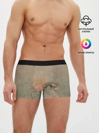 Мужские трусы боксеры / Пейзаж