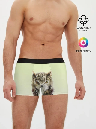 Мужские трусы боксеры / арт сова яркая