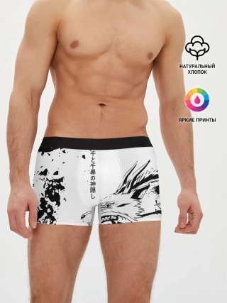 Мужские трусы боксеры / Dragon Haku
