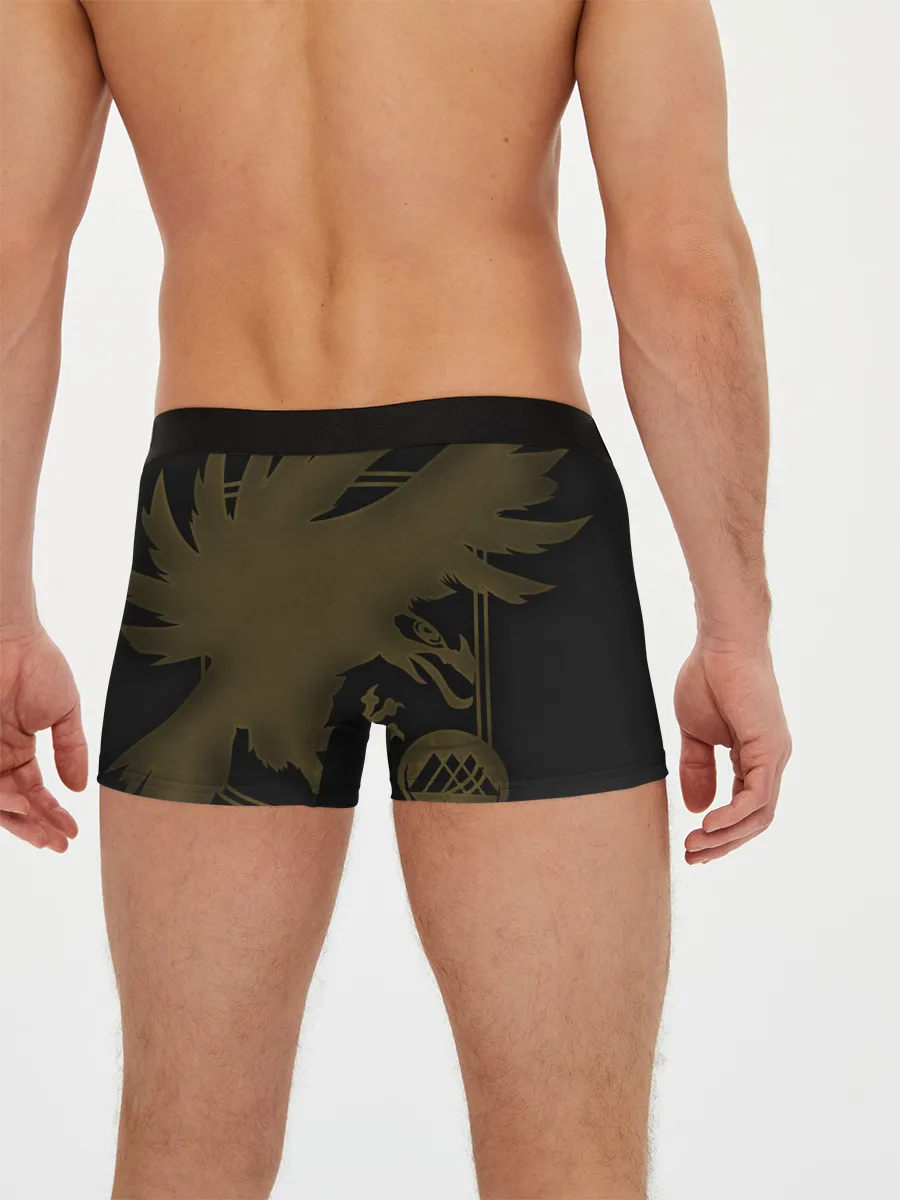 Мужские трусы боксеры / DESTINY, WARLOCK