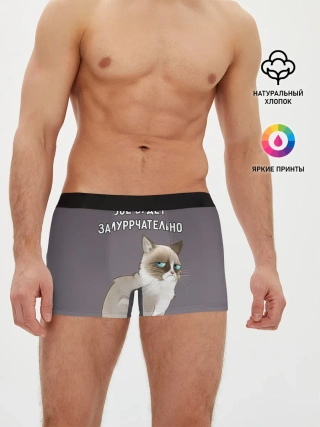 Мужские трусы боксеры / Грустный кот