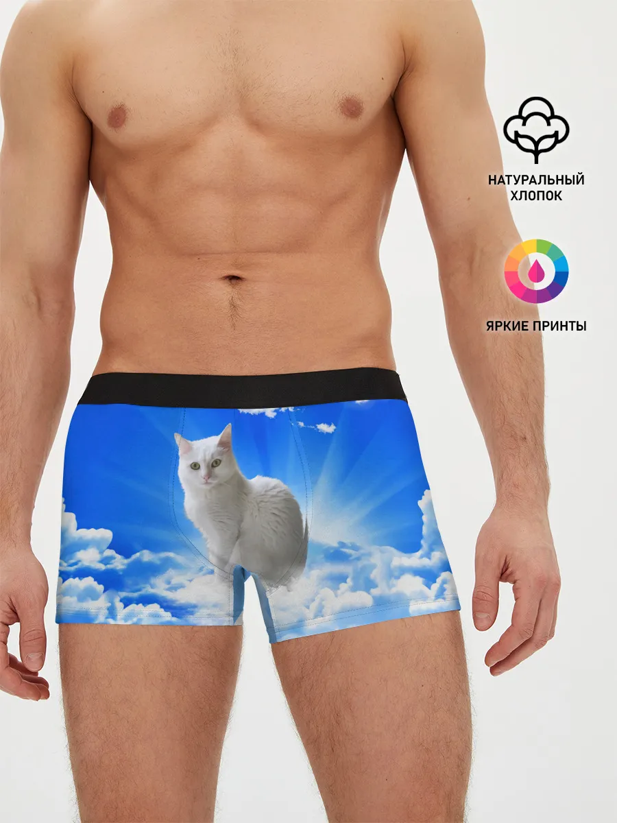 Мужские трусы боксеры / Кот в облаках