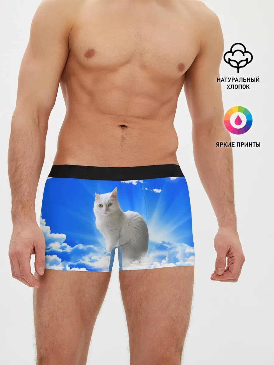 Мужские трусы боксеры / Кот в облаках