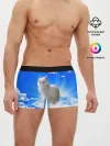 Мужские трусы боксеры / Кот в облаках