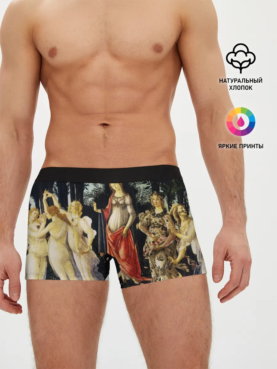 Мужские трусы боксеры / весна боттичелли