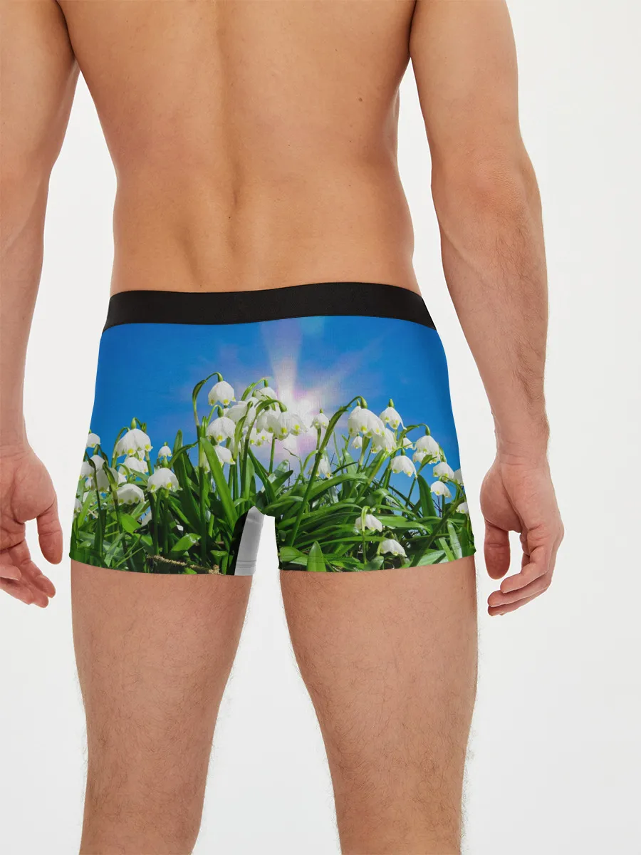 Мужские трусы боксеры / Подснежники