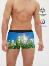 Мужские трусы боксеры / Подснежники