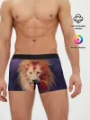 Мужские трусы боксеры / Space Lion