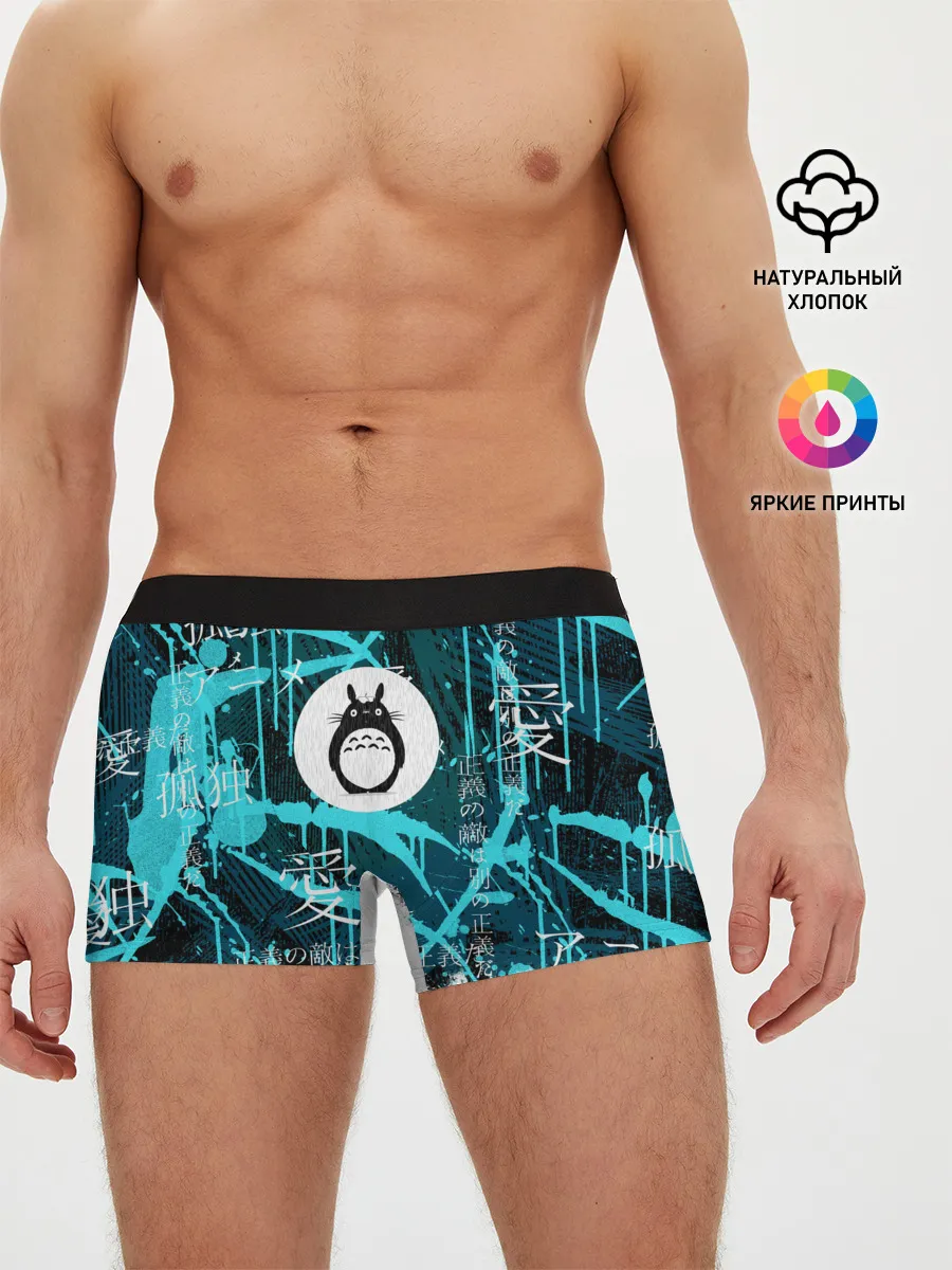 Мужские трусы боксеры / Тоторо