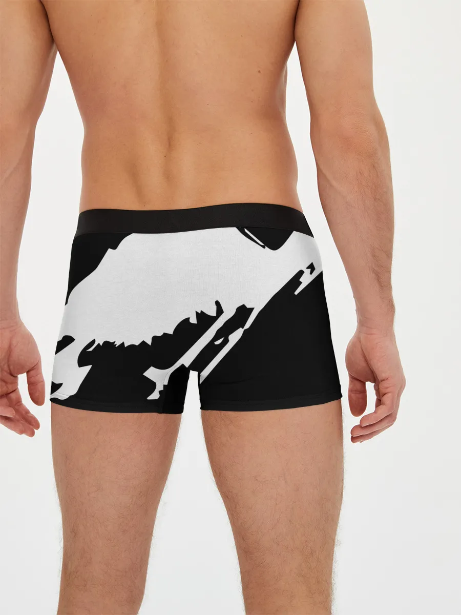 Мужские трусы боксеры / Forza Horizon