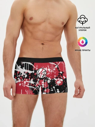 Мужские трусы боксеры / Stray kids