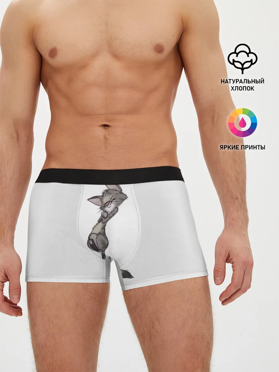 Мужские трусы боксеры / Милый котя