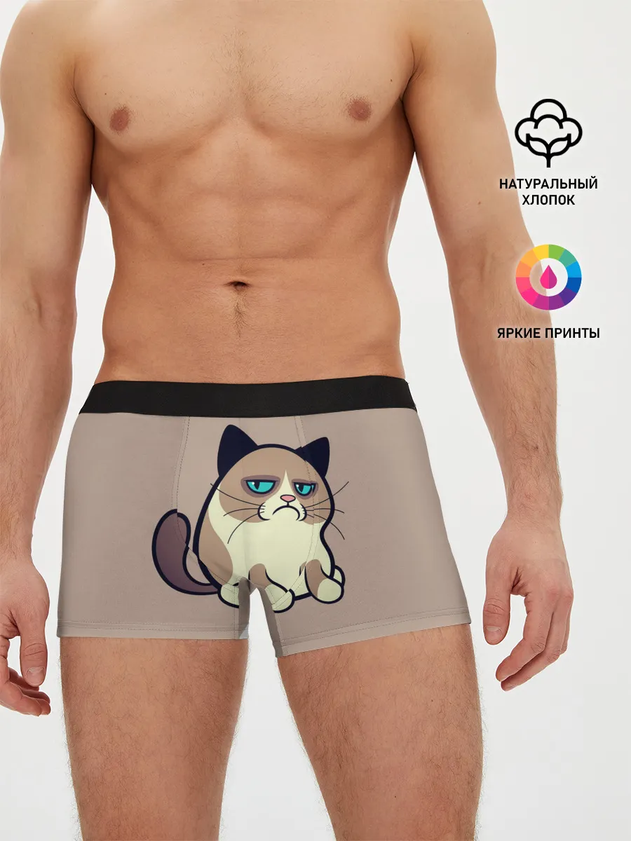 Мужские трусы боксеры / Великий Grumpy Cat