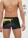 Мужские трусы боксеры / дорога