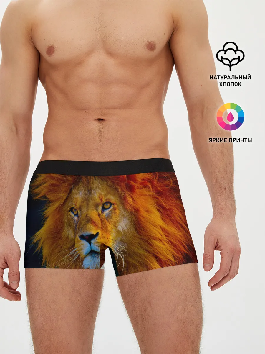 Мужские трусы боксеры / Лев 3D
