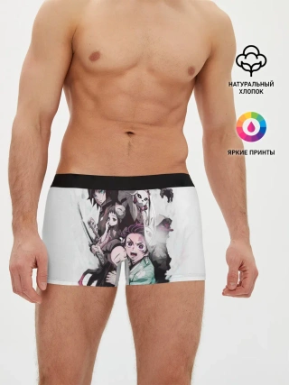 Мужские трусы боксеры / Убийца Демонов постер