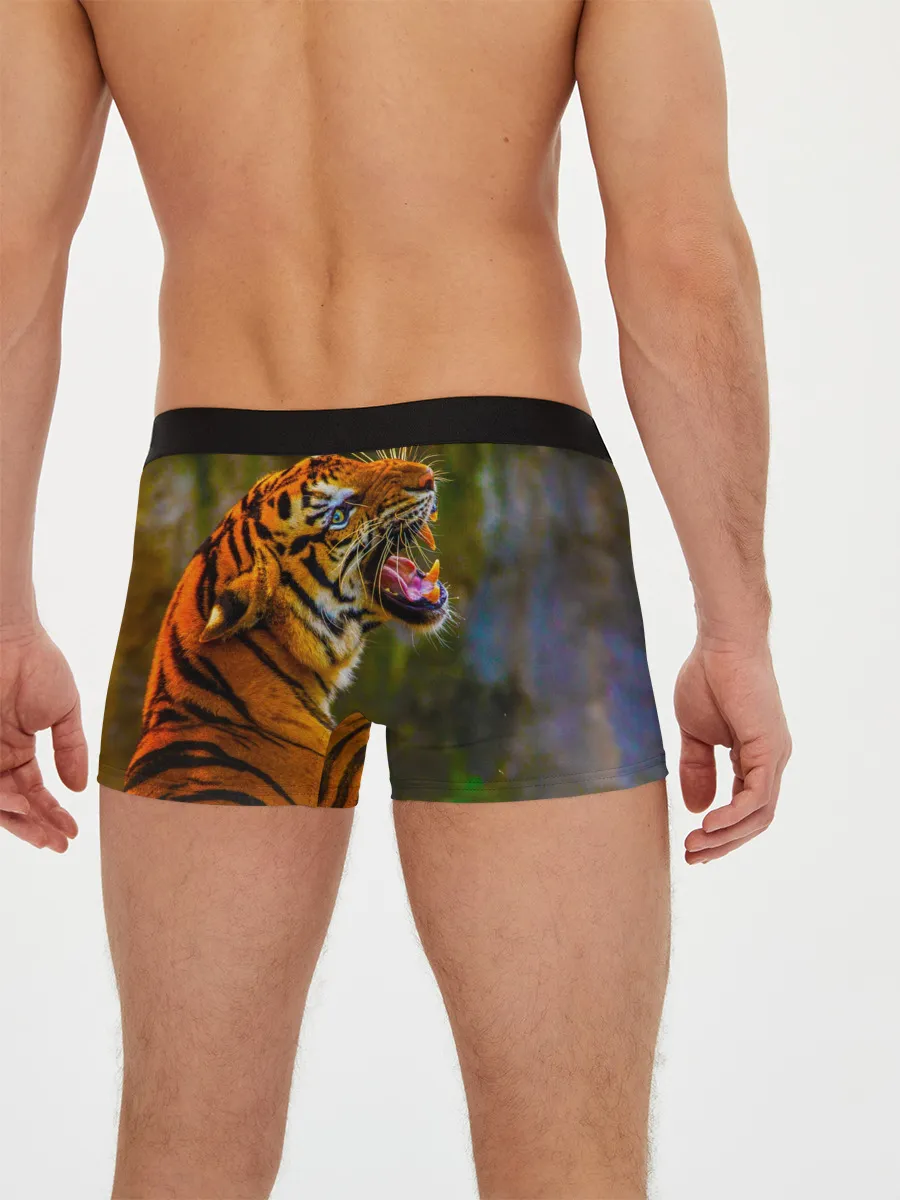 Мужские трусы боксеры / Тигр 3D