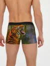 Мужские трусы боксеры / Тигр 3D