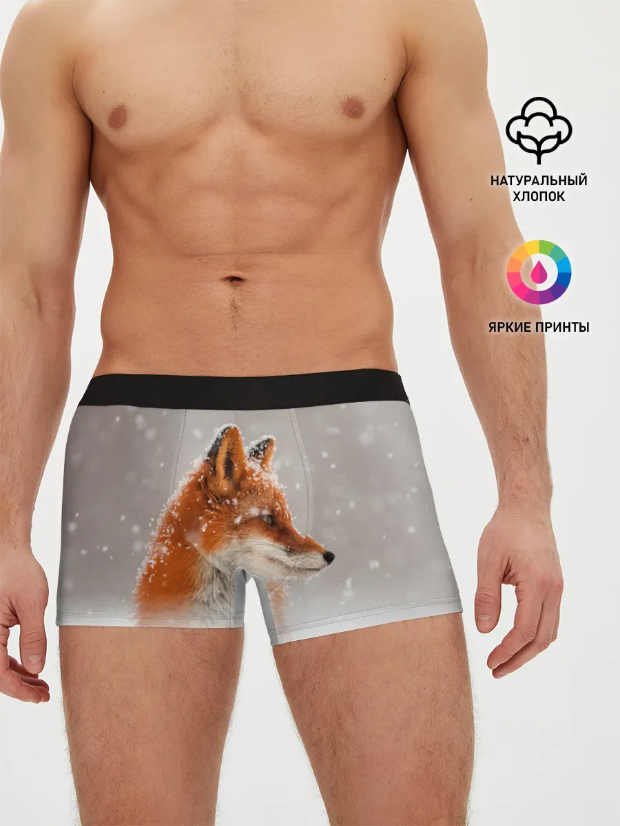 Мужские трусы боксеры / Лиса и снег