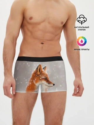 Мужские трусы боксеры / Лиса и снег