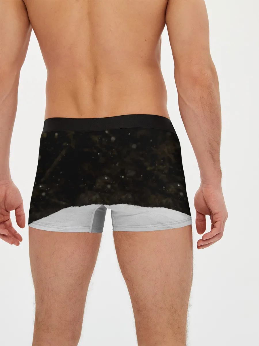 Мужские трусы боксеры / Лиса и снег