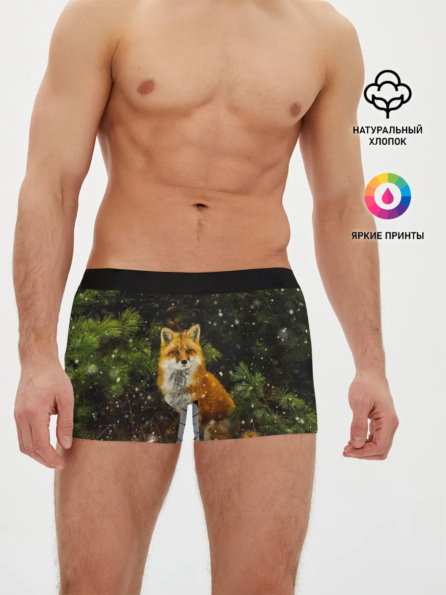 Мужские трусы боксеры / Лиса и снег
