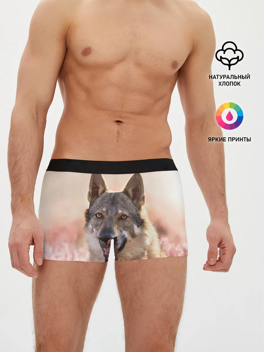 Мужские трусы боксеры / Красивый Волк