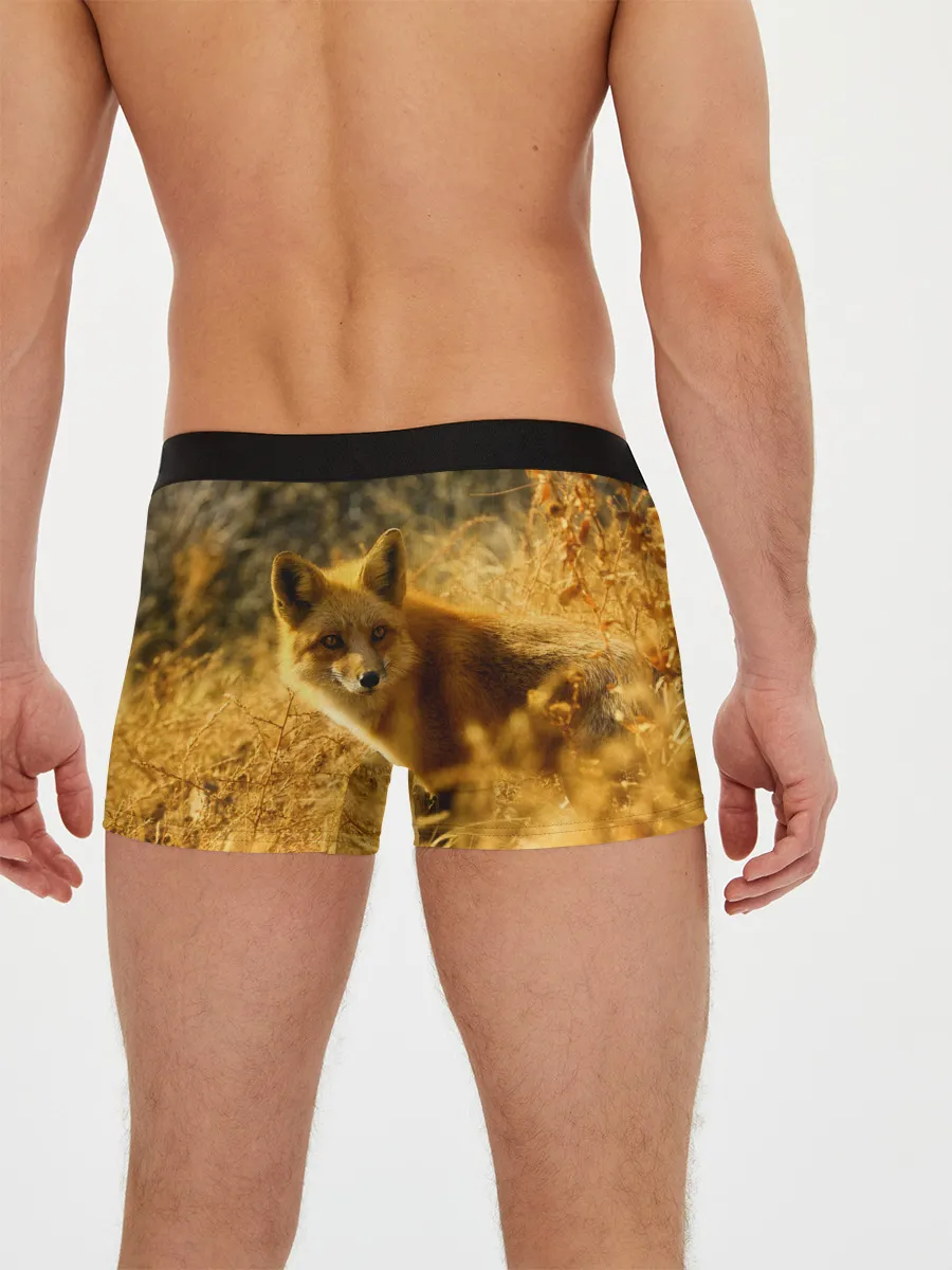Мужские трусы боксеры / Рыжая Лиса