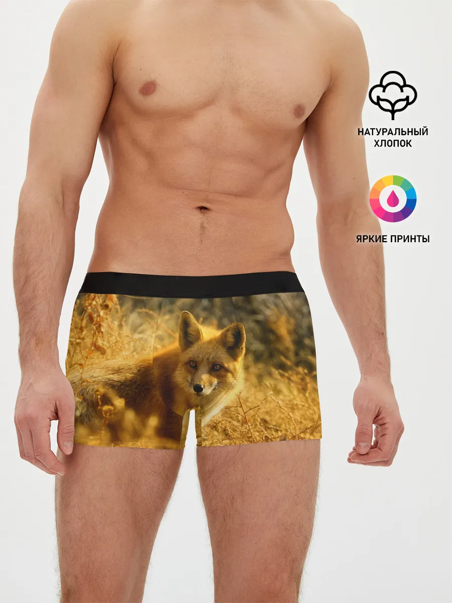 Мужские трусы боксеры / Рыжая Лиса