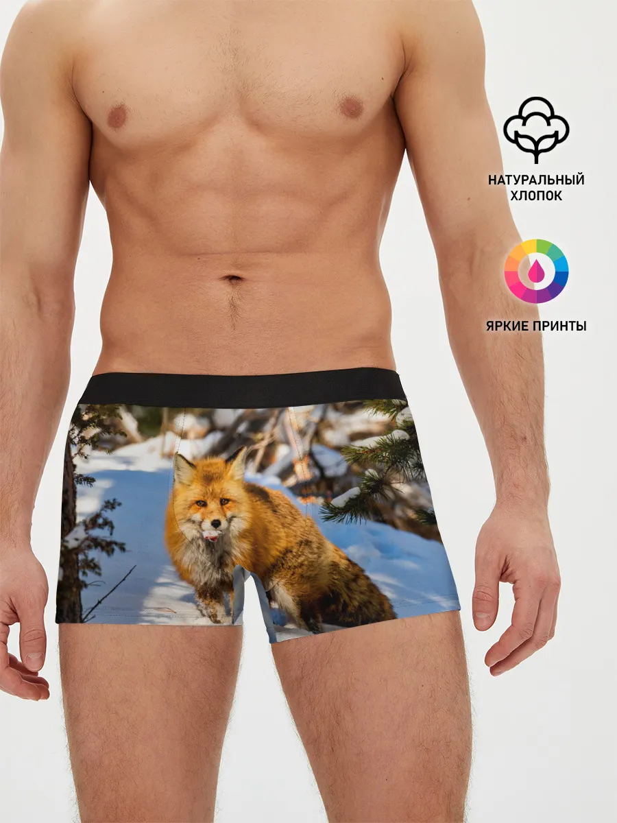 Мужские трусы боксеры / Лиса в лесу