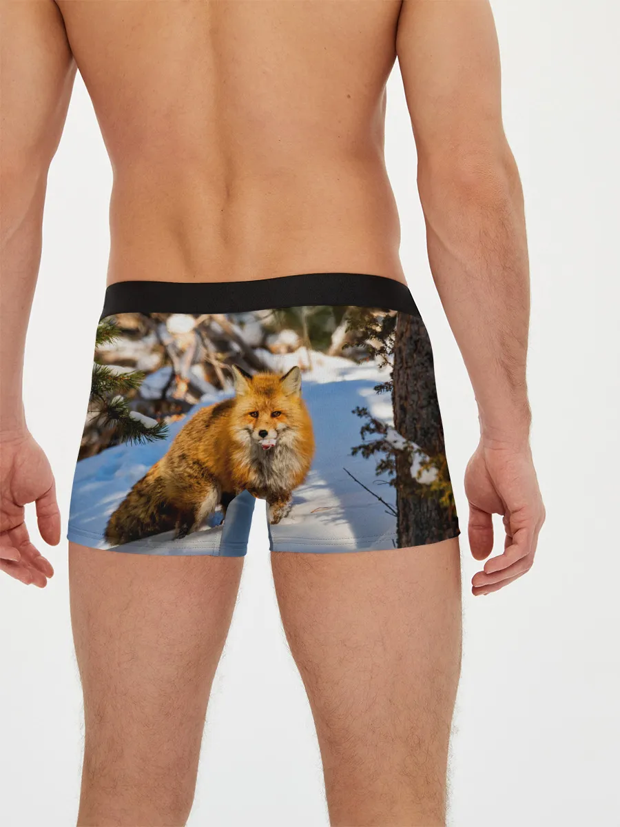 Мужские трусы боксеры / Лиса в лесу